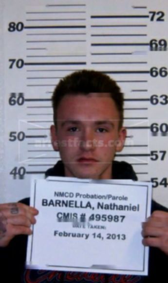 Nathaniel Edward Barnella