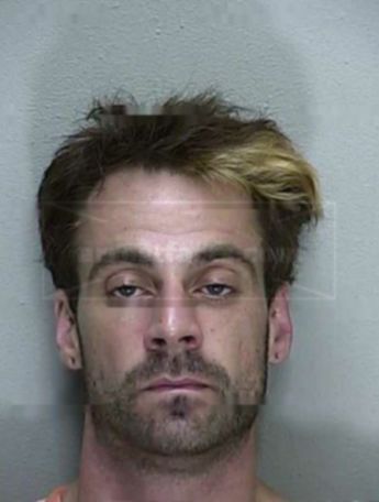 Kevin P Dailey