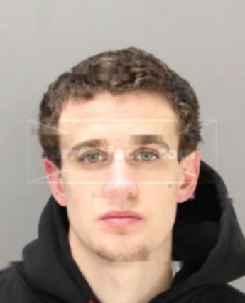 Knapp Carson Mitchell