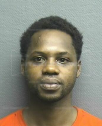Raphel German Brown