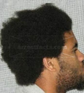 Deandre L Hopson