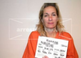 Diane Steinbrunn Barron