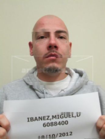 Miguel David Ibanez