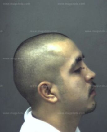 Rocky Flores Jr.