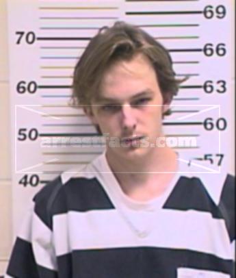 Tony Elmer-Lee Boswell
