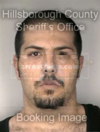 Jason Petertobias Wellenreiter