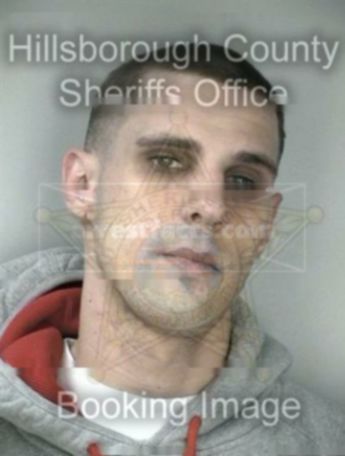 Derek Walter Steenis