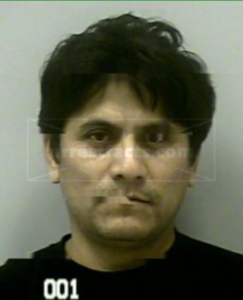 Pedro F Martinez