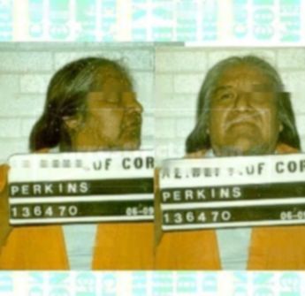 Michael H Perkins