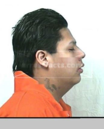 Travis D Noear