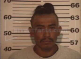 Fernando Flores