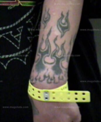 Stacey L Cook