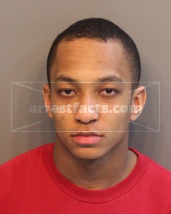 Tyler Hinton Sylvester