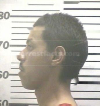 Leon Saul Falcon