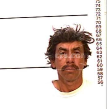 Adelfo Martinez-Alonso