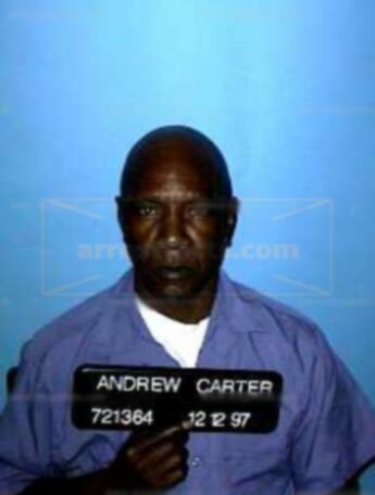 Andrew D Carter