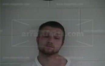 Zachary Taylor Fox