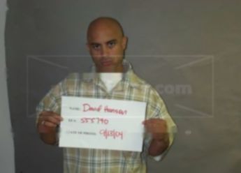 David Douglas Hanson