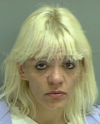 Sheila Dawn Schofield