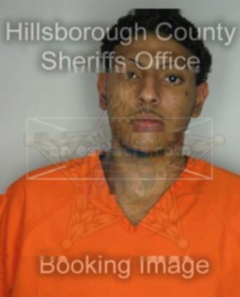 Steven Jacob Harrison Harold