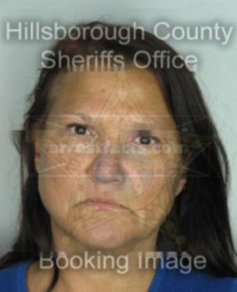 Darlene Sue Himmelein