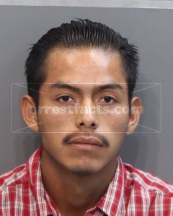 Elder A Ortiz-Gonzalez