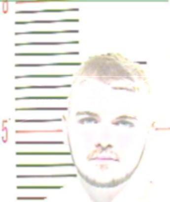 Wesley Austin Henery