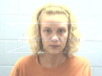 Denise L Chismar