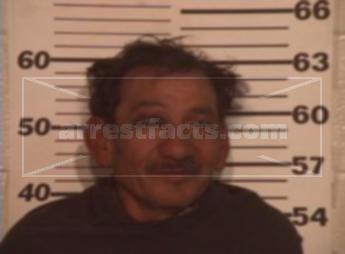 Martin Requena Guerrero