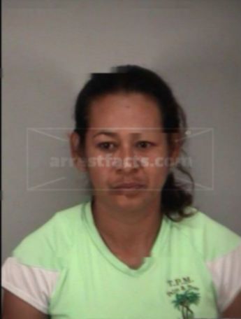 Ana Maria Vidal Silvan