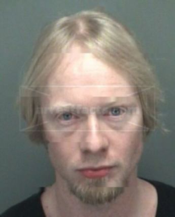 Brian J Fox