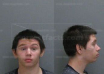 Joshua M Verrett