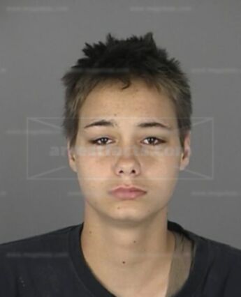 Taylor M Lachance