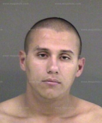 Mike Salinas Jr.