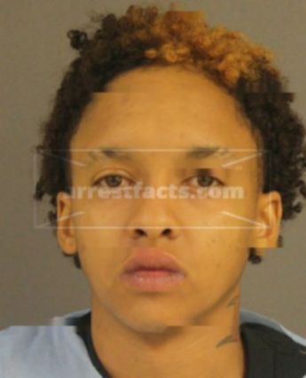 Jasmine Mechelle Mitchell