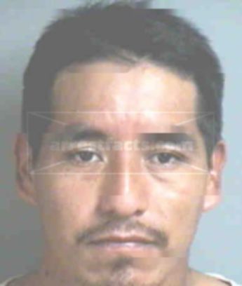 Guadalupe Alvaradoortiz
