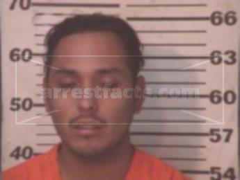 Roel Rangel Flores