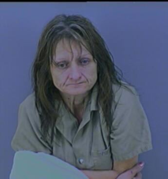 Terri Lee Snyder Warren