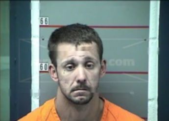 Joshua Robert Williamson