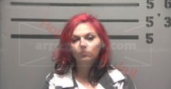 Sherry Diane Johnston
