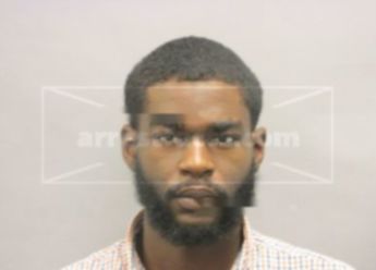 Allante Lamb