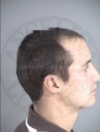 Brandon Taylor Willis
