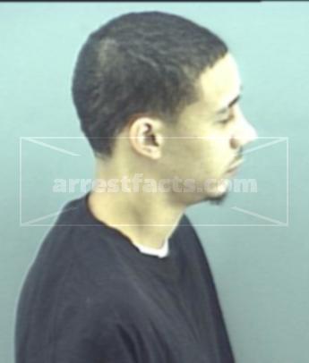 Michael Dammone Wilson