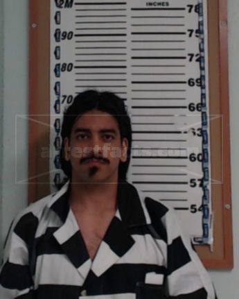 Manuel J Castillo-Hernandez