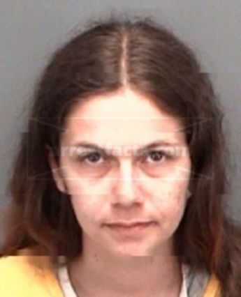 Rachel Renee Swanson