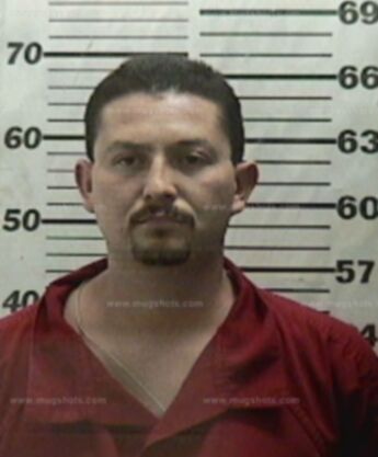 Louis P Branch