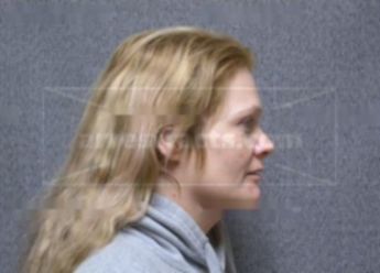 Lisa D Anderson
