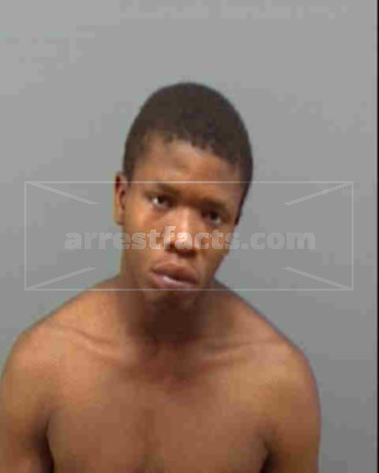 Mark Dion Walker