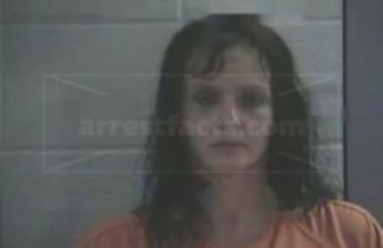 Robin Lynn Steele