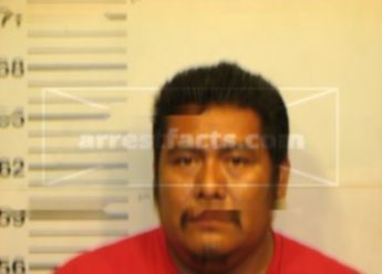 Arnulfo Alfonso Gonzales- Mende